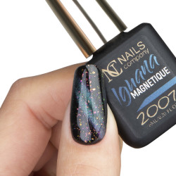 NC-Iguana Magnetique 2007 Gelique 6ML
