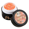 NC-Princess Nail Art Gel Merida 5g