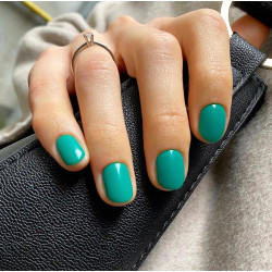 Reforma-Gel Polish Do It Again 10g - 3