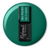 Reforma-Gel Polish Do It Again 10g - 1