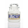 YC-świeca mała Midnight Jasmine - 1