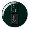 Reforma-Gel Polish Roar 10g - 1