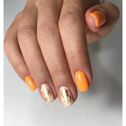 Reforma-Gel Polish Pumpkin 10g - 5