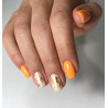 Reforma-Gel Polish Pumpkin 10g - 5