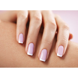 vv-Mega Base Lilly PINK 15ml - 3