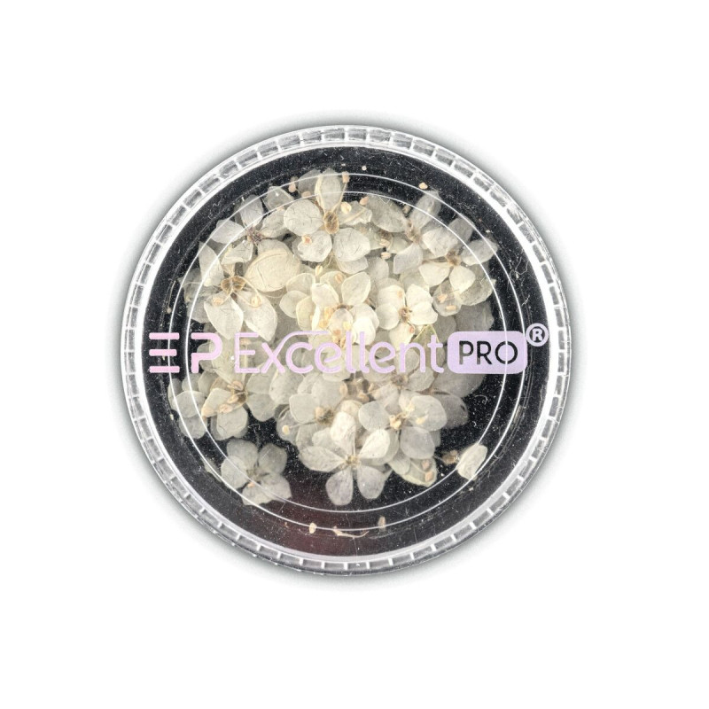 Excellent PRO-Deco Dry Flower 50pcs 004 - 1