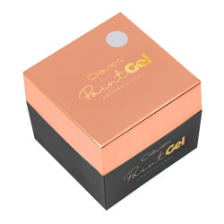 Clavier - Żel do zdobień paint gel ornamenty srebrny, 5g