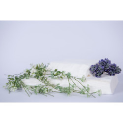 Ricco Nails - Chusty zabiegowe - SOFT 20x25cm, 100szt