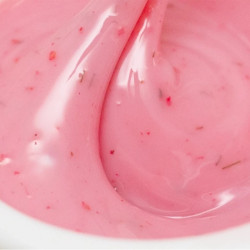 Elarto - Żel budujący różowy z kwiatuszkami - Blossom Gel Blush Camellia, 30g