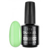 DuoGel - Lakier hybrydowy 060 6ml