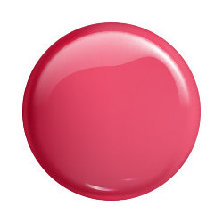 VICTORIA VYNN gel polish color 238 DRAGON FRUIT 8ml - 2