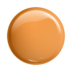 VICTORIA VYNN gel polish color 242 PUMPKIN PIE 8ml - 2