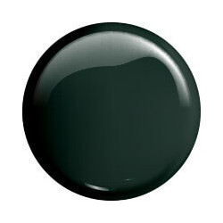 VICTORIA VYNN gel polish color 208 GRASSY FIELD 8ml - 2
