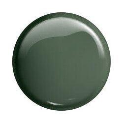 Victoria Vynn - GEL POLISH color 209 DUSTY GREEN 8ml - 2