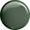 Victoria Vynn - GEL POLISH color 209 DUSTY GREEN 8ml - 2