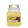 Yankee Candle - świeca mała Tropical Starfruit 104g