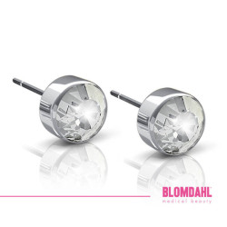 BLOMDAHL CJS Titanium Bezel 5mm crystal - 1